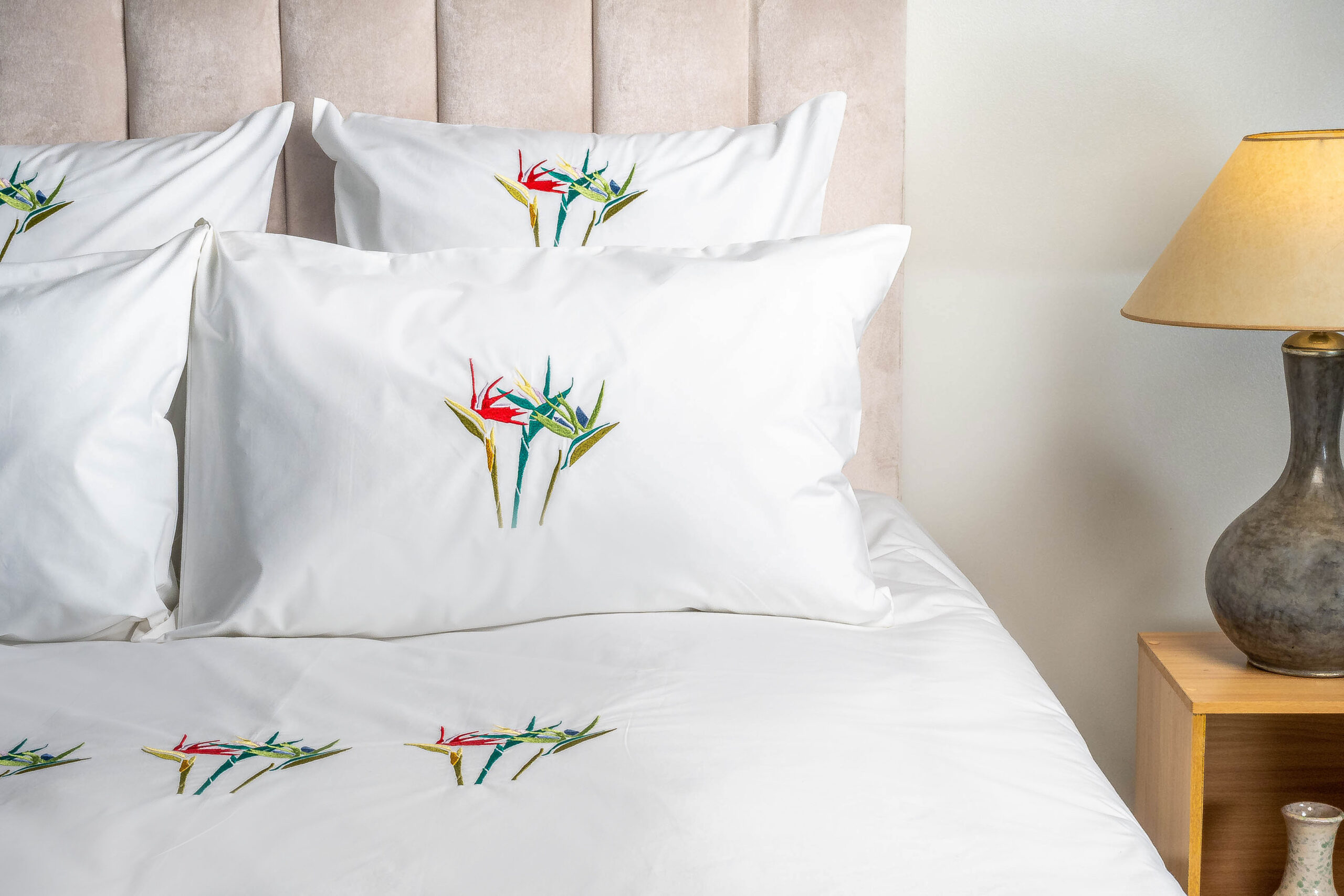 oiseau du paradis_01